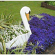 Illustration for article titled 20 Inspiring Flower Planters That Will Bring The Magic Into Your Garden